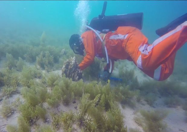 首页- Z6官网中国区人生就是博