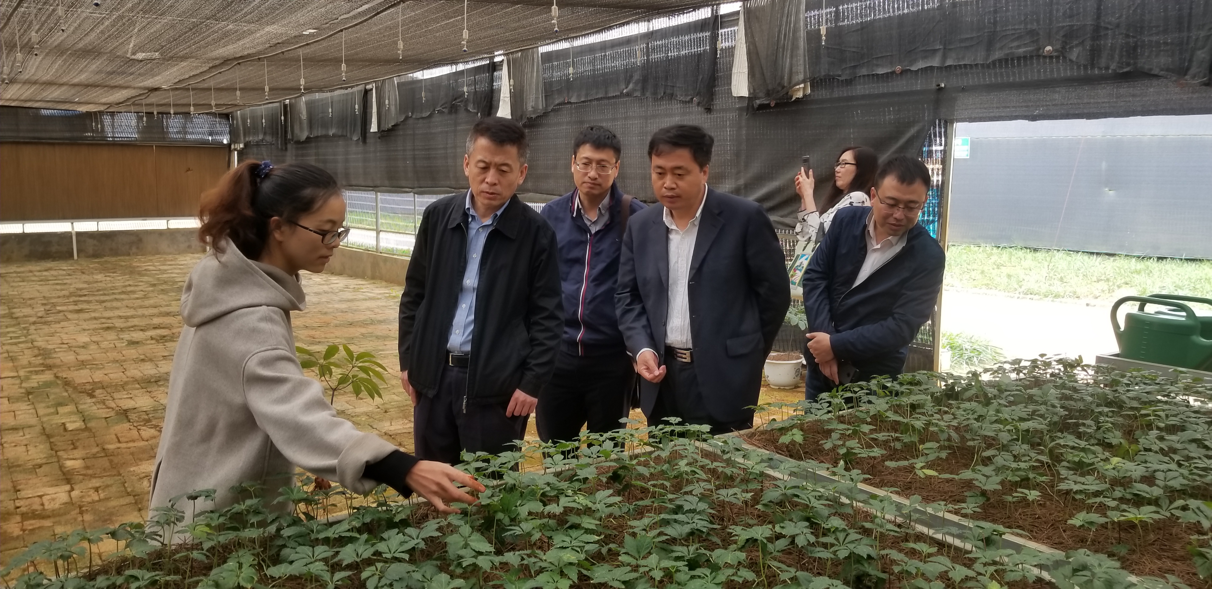 首页- Z6官网中国区人生就是博