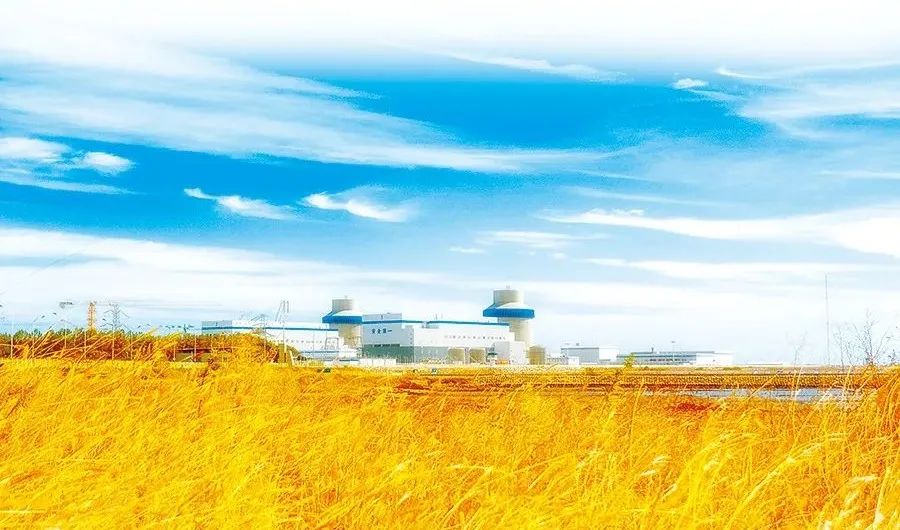 首页- Z6官网中国区人生就是博