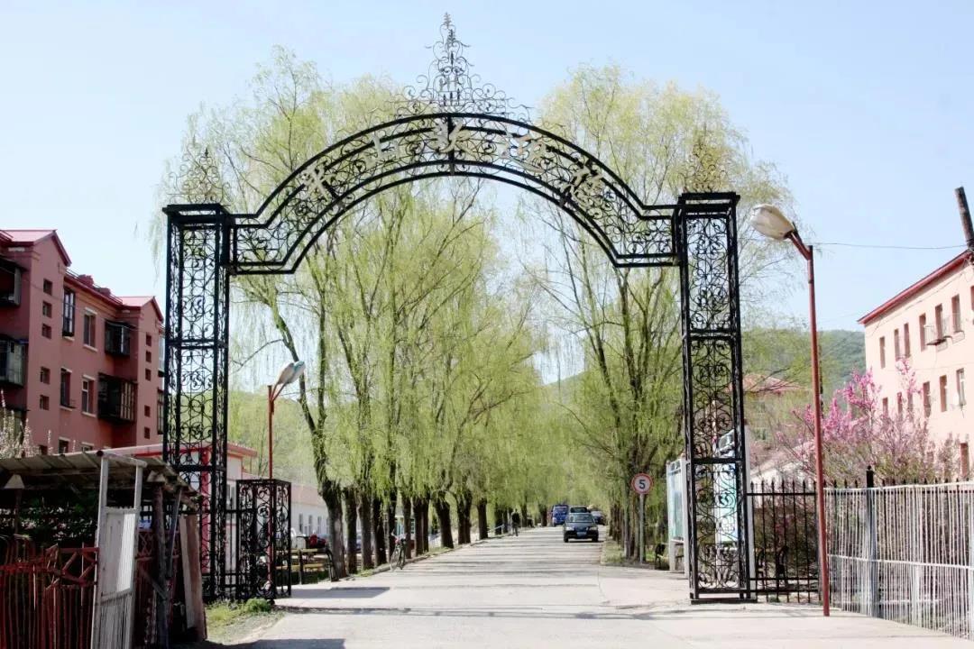 首页- Z6官网中国区人生就是博